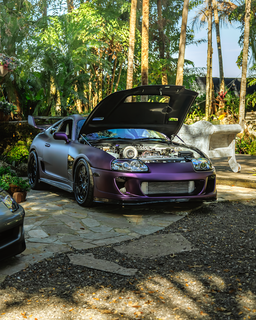 Toyota Supra in the palm garden
