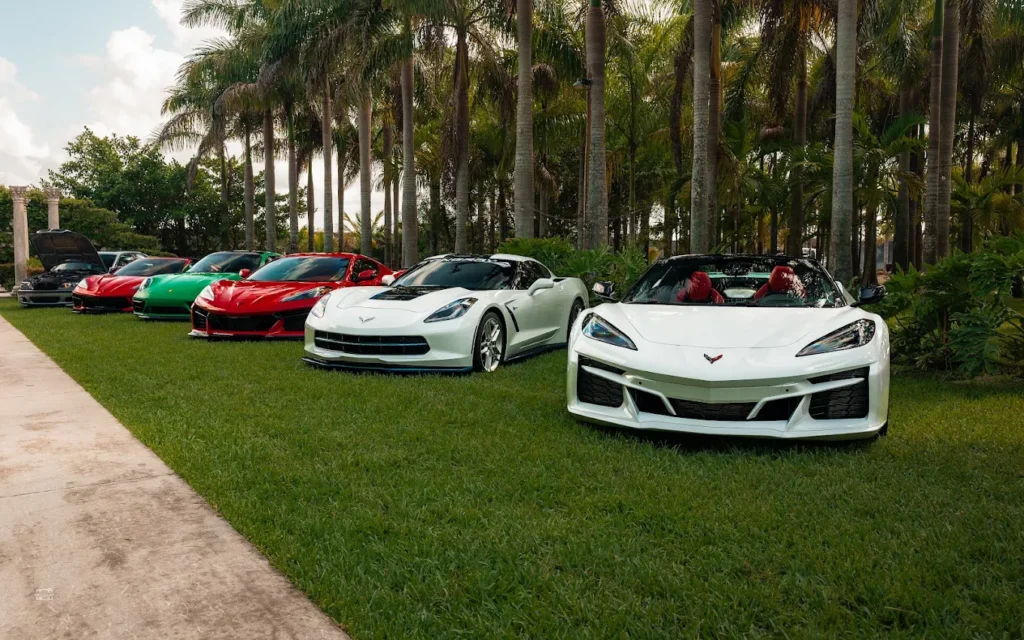Corvette lineup on the grass